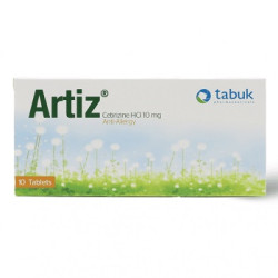 Artiz 10's